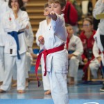 Österreichische Karate Meisterschaft 2024