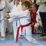 Österreichische Karate Meisterschaft 2024