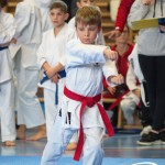 Österreichische Karate Meisterschaft 2024