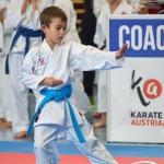 Österreichische Karate Meisterschaft 2024