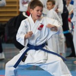 Österreichische Karate Meisterschaft 2024