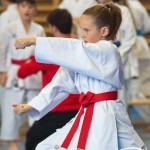 Österreichische Karate Meisterschaft 2024