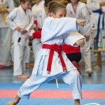 Österreichische Karate Meisterschaft 2024