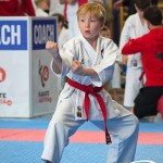 Österreichische Karate Meisterschaft 2024