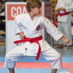 Österreichische Karate Meisterschaft 2024