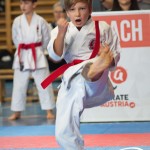 Österreichische Karate Meisterschaft 2024