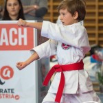 Österreichische Karate Meisterschaft 2024