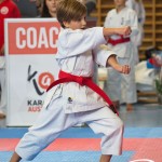 Österreichische Karate Meisterschaft 2024