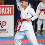 Österreichische Karate Meisterschaft 2024