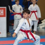 Österreichische Karate Meisterschaft 2024