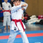 Österreichische Karate Meisterschaft 2024