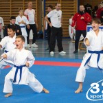 Österreichische Karate Meisterschaft 2024