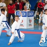 Österreichische Karate Meisterschaft 2024