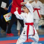 Österreichische Karate Meisterschaft 2024