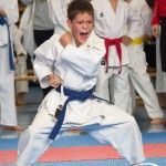 Österreichische Karate Meisterschaft 2024