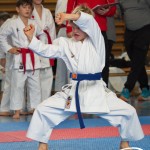 Österreichische Karate Meisterschaft 2024