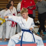 Österreichische Karate Meisterschaft 2024