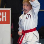 Österreichische Karate Meisterschaft 2024