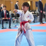 Österreichische Karate Meisterschaft 2024