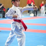 Österreichische Karate Meisterschaft 2024