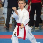 Österreichische Karate Meisterschaft 2024