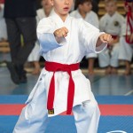 Österreichische Karate Meisterschaft 2024