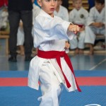 Österreichische Karate Meisterschaft 2024