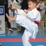 Österreichische Karate Meisterschaft 2024