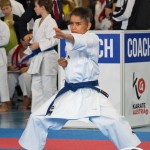 Österreichische Karate Meisterschaft 2024