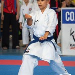 Österreichische Karate Meisterschaft 2024