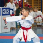 Österreichische Karate Meisterschaft 2024