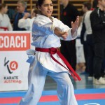 Österreichische Karate Meisterschaft 2024