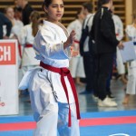 Österreichische Karate Meisterschaft 2024