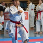 Österreichische Karate Meisterschaft 2024