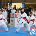 Österreichische Karate Meisterschaft 2024