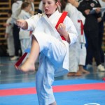 Österreichische Karate Meisterschaft 2024