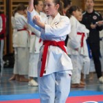 Österreichische Karate Meisterschaft 2024