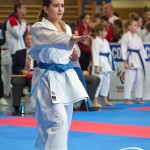 Österreichische Karate Meisterschaft 2024