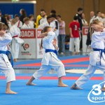 Österreichische Karate Meisterschaft 2024