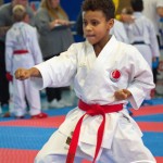 Österreichische Karate Meisterschaft 2024