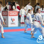 Österreichische Karate Meisterschaft 2024