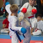 Österreichische Karate Meisterschaft 2024