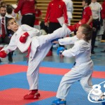 Österreichische Karate Meisterschaft 2024