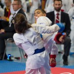 Österreichische Karate Meisterschaft 2024