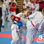 Österreichische Karate Meisterschaft 2024