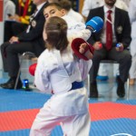 Österreichische Karate Meisterschaft 2024