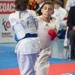 Österreichische Karate Meisterschaft 2024