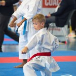 Österreichische Karate Meisterschaft 2024