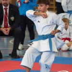 Österreichische Karate Meisterschaft 2024