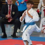 Österreichische Karate Meisterschaft 2024